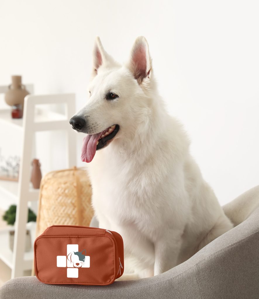Pochette chien