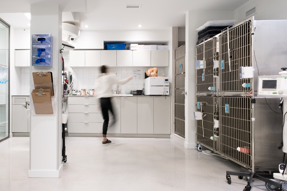 Hôpital Vétérinaire Le Petit Laurier