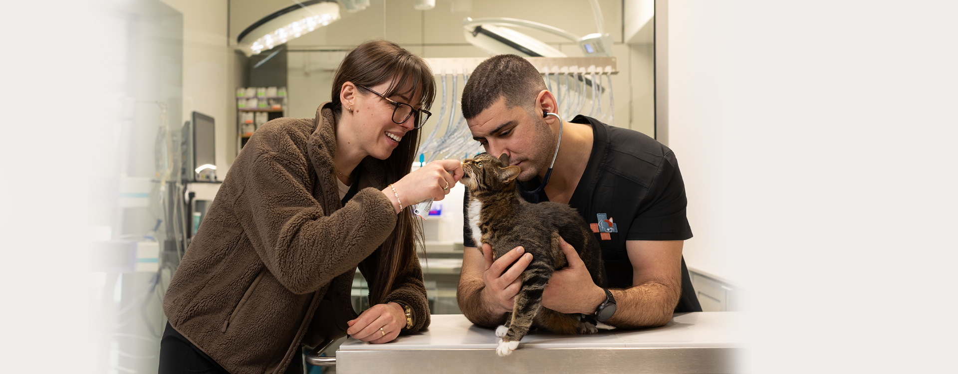 BanniereVetpetitlaurier