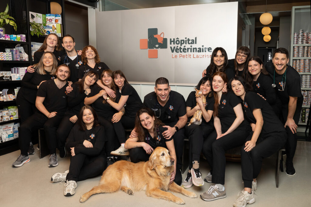 Equipe