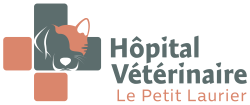 LogoHVPetitLaurier_SansBackground