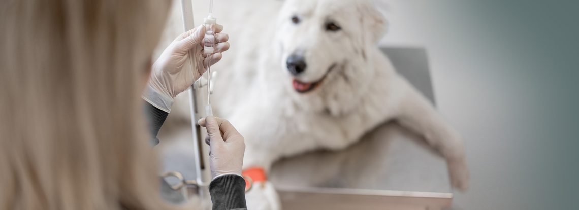 banniere-hopitalisation1